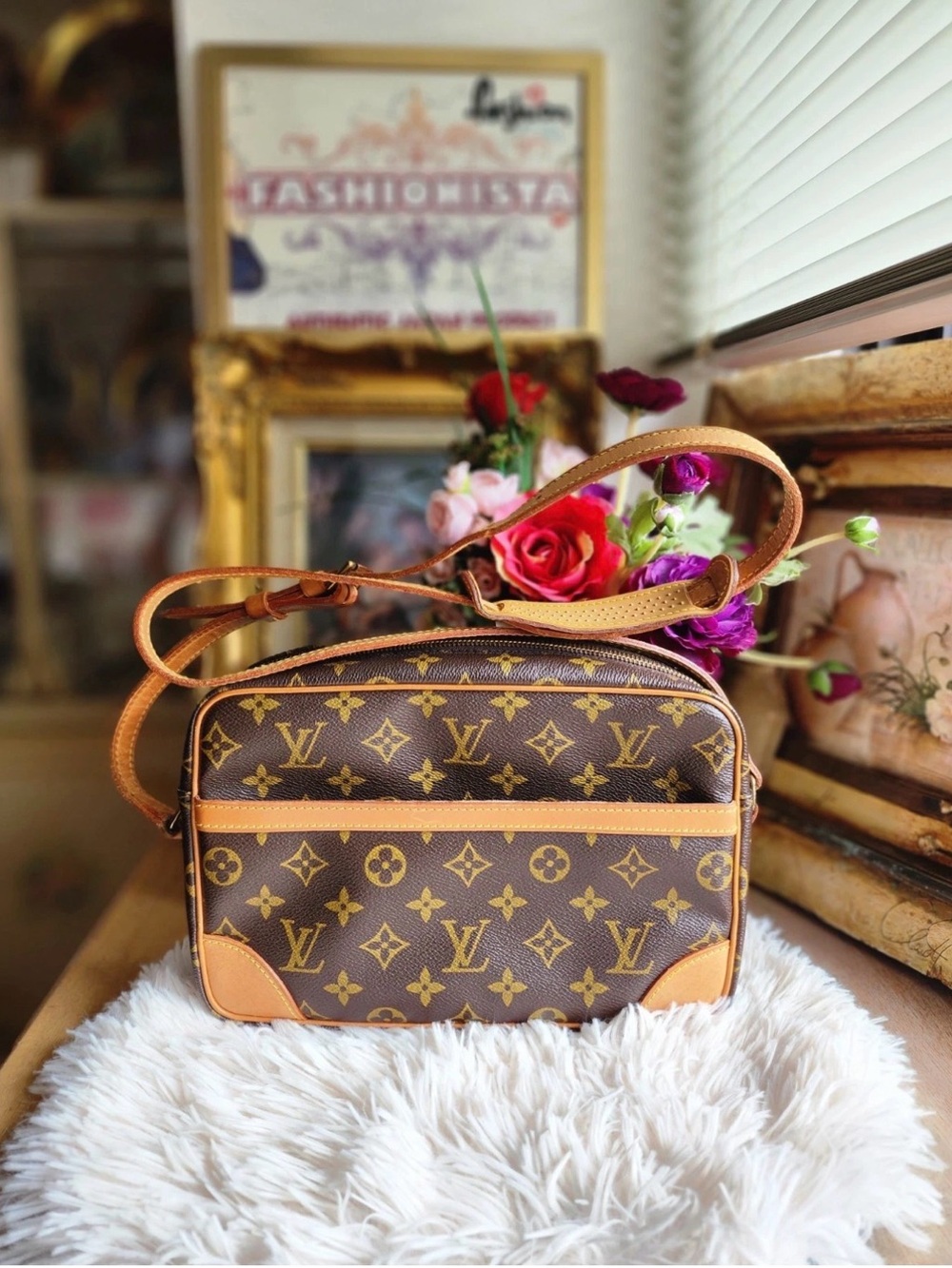 Louis Vuitton Brown Monogram Crossbody Camera Bag